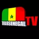 Tele Senegal TV logo