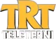 TeleTerni logo