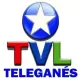 Teleganes logo