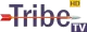 Tribe TV logo