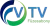 VTV Fuzesabony logo