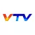 VTV Mendoza logo