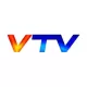 VTV Mendoza logo