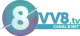 VV8 TV logo
