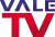 Vale TV logo