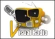 Visual Radio logo