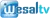 Wesal TV logo