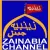 Zainabia Channel logo