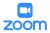 Zoom News logo