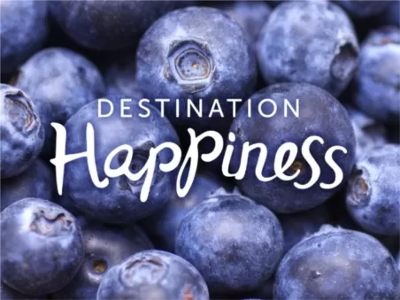 Destination Happiness
